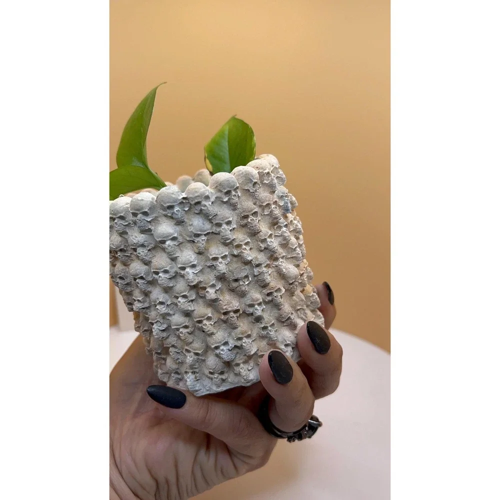 2 skulConcrete Planter – Handmade Cement Pot – Unique Textured– Handmade – - Picture 1 of 6